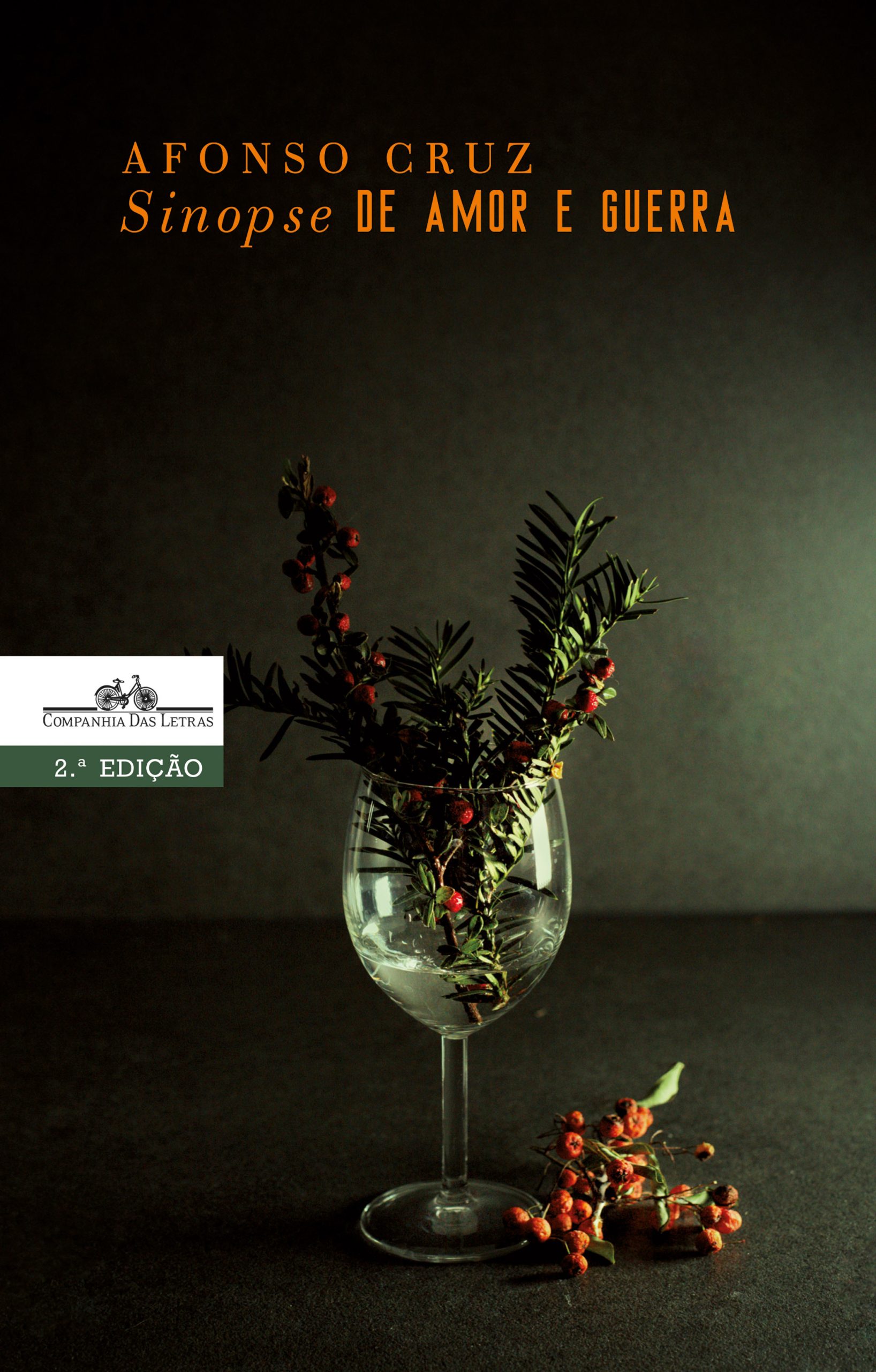 Sinopse_de_amor_e_guerra_2ED_selo_EBOOK