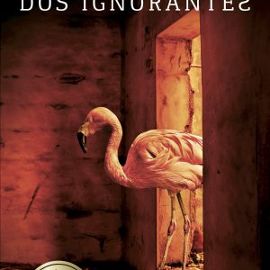 O castigo dos ignorantes (Livro de Bolso) (Sebastian Bergman 5)