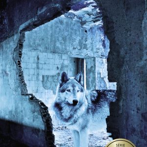 O discípulo (Livro de Bolso) (Sebastian Bergman 2)