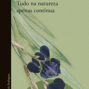 Tudo na natureza apenas continua
